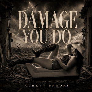 Damage You Do by Ashley Brooks