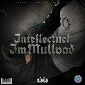 Intellectuel #2 by ImMullvad