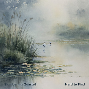Hard to Find by Slumbering Quartet