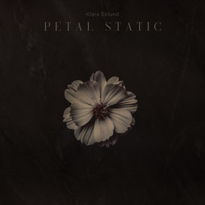 Petal Static by Klara Eklund