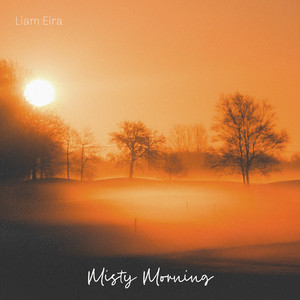 Misty Morning by Liam Eira