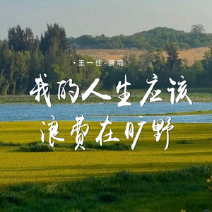我的人生应该浪费在旷野 by 王一佳