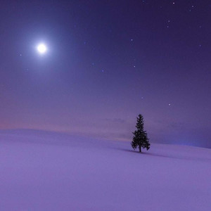 pinkpills - balenciaga