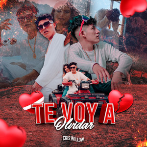 Te Voy A Olvidar