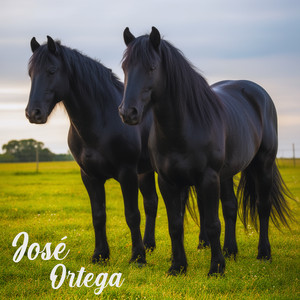 De Apure También Soy by Jose Ortega