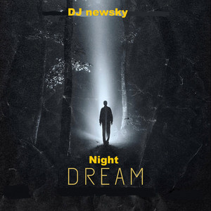 Night Dream