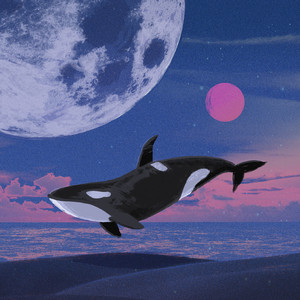 Orca by Nine Sparks Riots