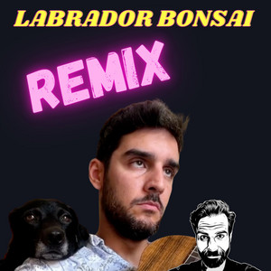 Labrador Bonsai - song and lyrics by David Ordinas, Jorge Bolaos | Spotify