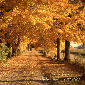 Обкладинка: Autumnal aesthetics