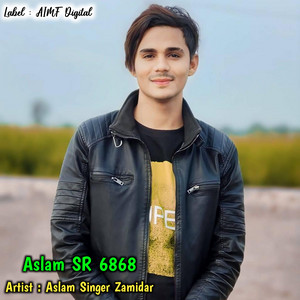 Aslam Singer Zamidar - Aslam SR 6868