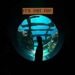 It's Not Fun by Velvet Kove