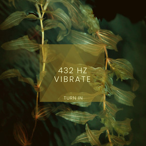 432 Hz Vibrate by Turn In