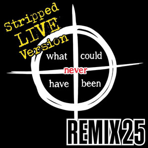 WHAT COULD NEVER HAVE BEEN STRIPPED LIVE VERSION (REMIX 25)