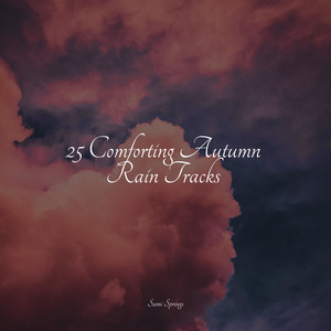 25 Comforting Autumn Rain Tracks album