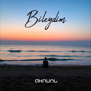 AKNUNL - Bileydim