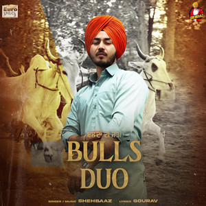 BULLS DUO