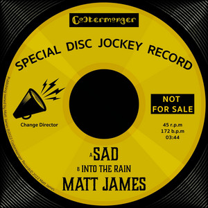 Into The Rain by Matt James