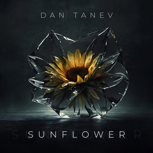 Sunflower - Radio Edit by Dan Tanev