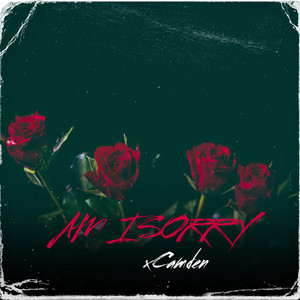 AM I SORRY by xCamden