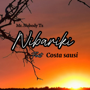 Mr. Nobody Tz - Nibariki (feat. Costa Sausi)