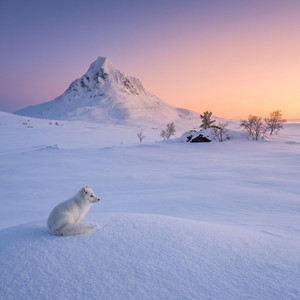 protect the peace you found by Ethereal Resonance
