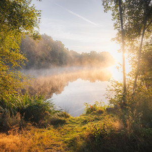 Morning Dew by Korluma