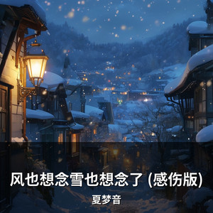 风也想念雪也想念了 (感伤版) by 夏梦音
