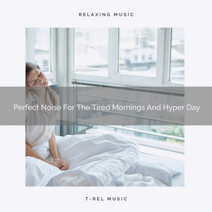 Perfect Noise For The Tired Mornings And Hyper Day album