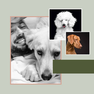 Tenor Sax Jazz - Ambiance for Puppy Sleep Zone album
