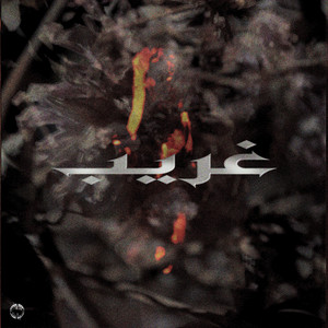 Ghareeb by Shbash, SMOKAHOLIC