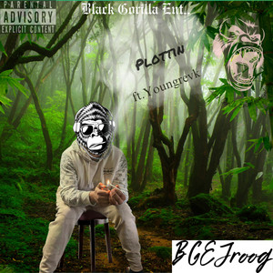 Portada de Plottin