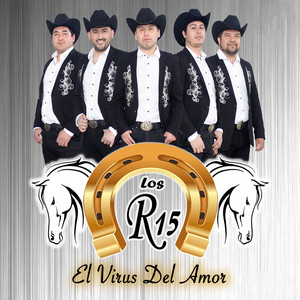 Mix Tributo Hermanos Bustos by Los R15