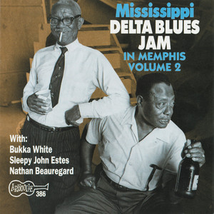 Mississippi Delta Blues Vol. 2 cover