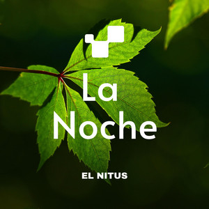 LA NOCHE by EL NITUS