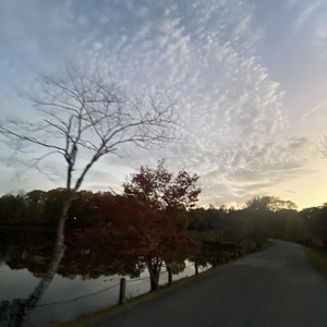 od2janky - cahmohney