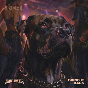 Bring It Back by Dub Elements