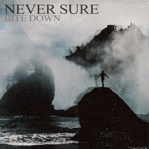 Bite Down by Never Sure