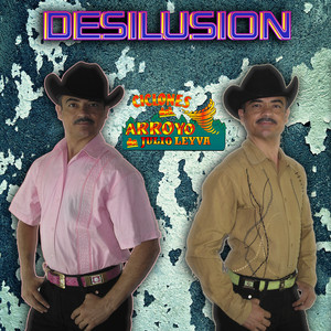 Portada de Desilusion