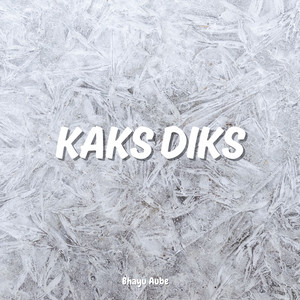 Bhayu Aube - Kaks Diks