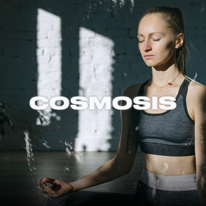 Cosmosis by Monument Music, Tuneful Tones