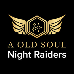 Night Raiders by Old Soul