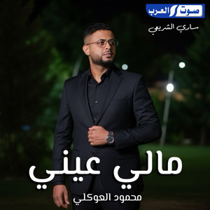 محمود العوكلي - مالي عيني