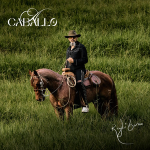 Reyli Barba & Alfredo Olivas - Amor Del Bueno (con Alfredo Olivas)