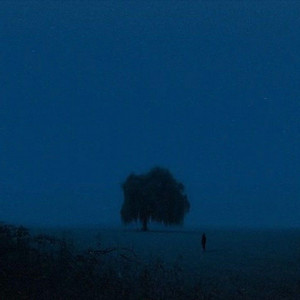 Del Cielo