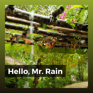 Hello, Mr. Rain album