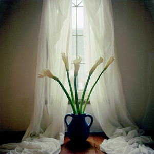 Dakota Theim - Sueño con un Mundo