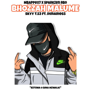 Skyy - Bhozzah Malume (feat. Dimarie65, MbaPpe07 & SparkZen Rbp)