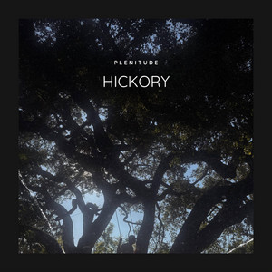 Hickory by Plenitude