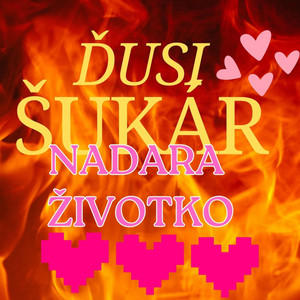 Promo Baro Raj - DUSI SUKAR 2024 NADARA ZIVOTKO