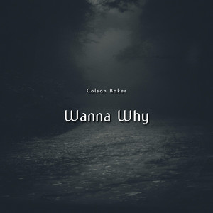 Wanna Why by Colson Baker
